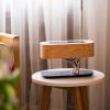 Tree of Life Table Lamp Wireless Charger - Default Title